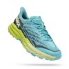 Footwear * | Hoka Women'S Speedgoat 5 (Csgg Coastal Shade/Green Shadow)