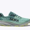 Footwear * | Hoka Women'S Challenger Atr 7 (Mgtr Mist Green/Trellis)