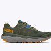 Footwear * | Hoka Men'S Challenger Atr 6 (Tshr Thyme/Sharkskin)