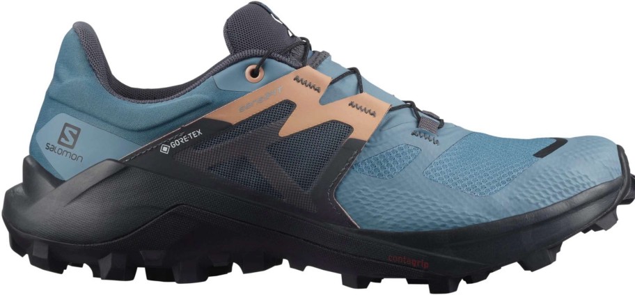 Footwear * | Salomon Women'S Wildcross 2 Gtx (Bluestone / Ebony / Sirocco)