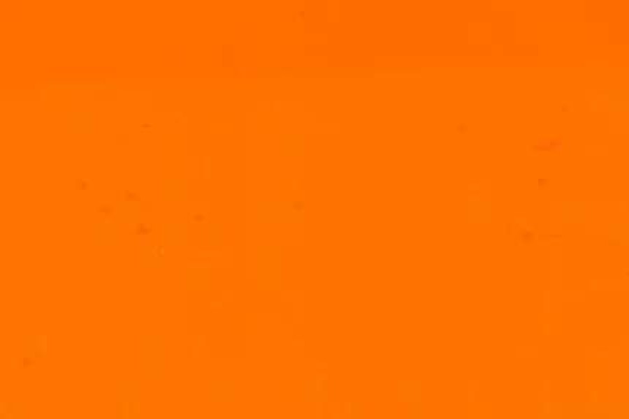 Decal Sticker Sets * | Flex Sticker (Fluor. Orange)